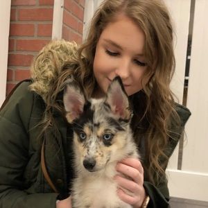 Meet your Posher, Kylee